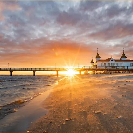 Tema 14 Appartement *